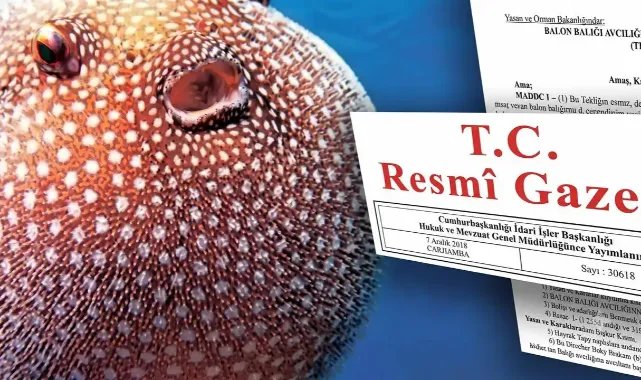 Balon Balığı avcılığı destekleri artırıldı