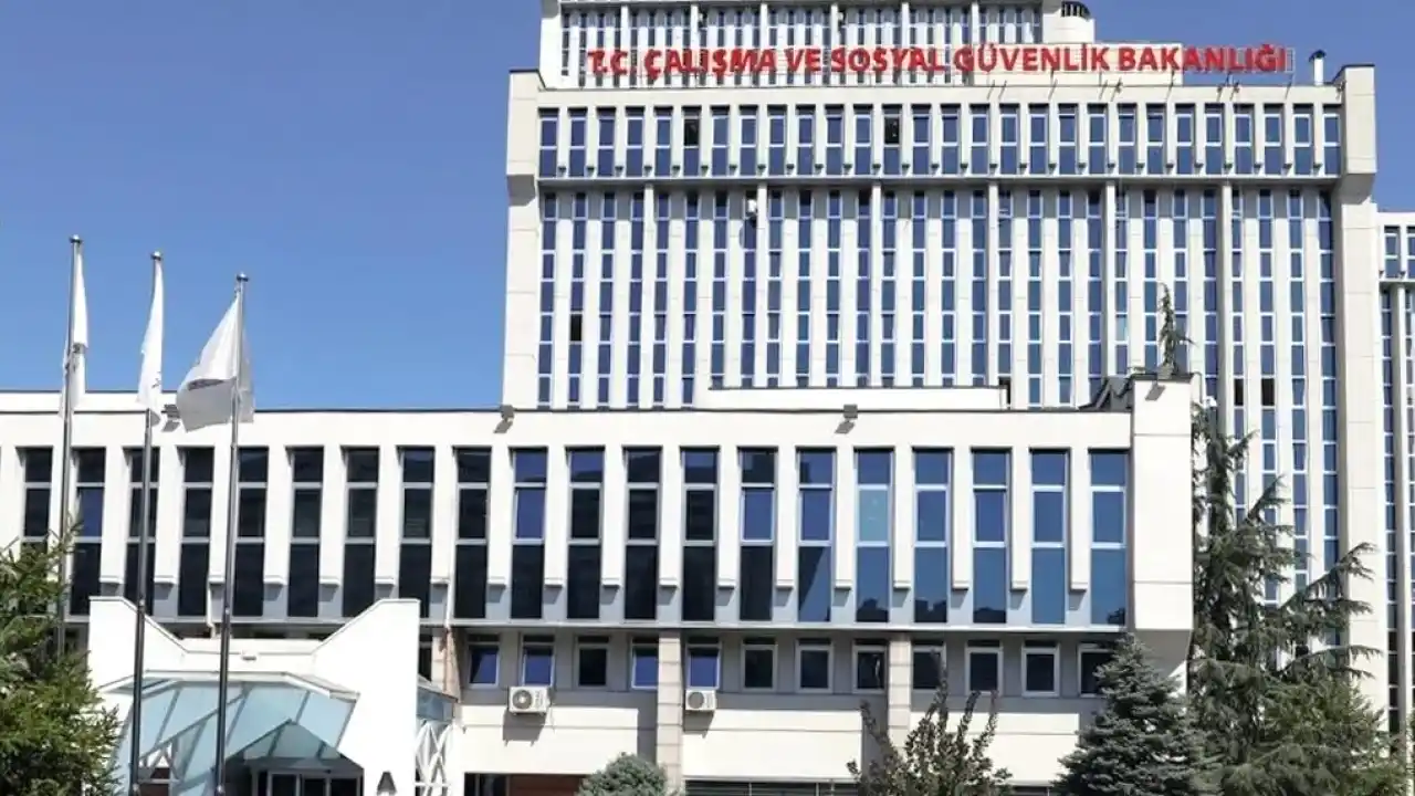 Bazı kamu kurumlarının hizmet kolları yeniden belirlendi