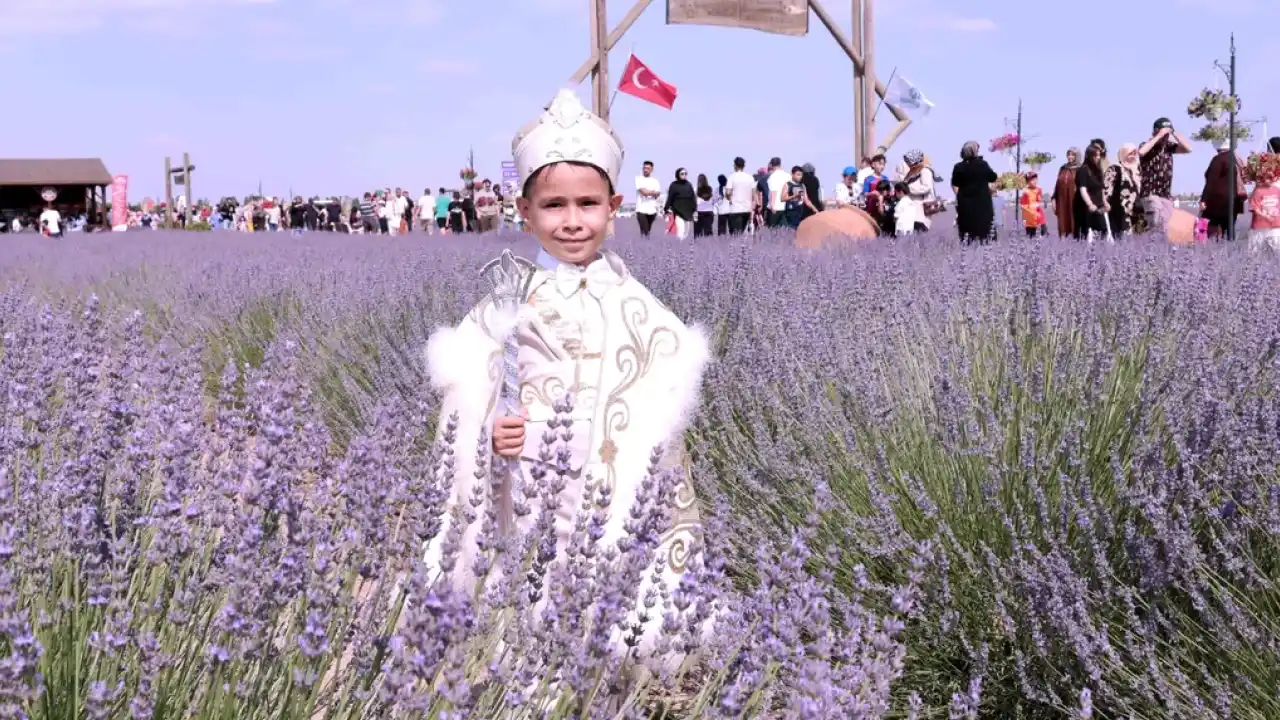 Konya Karatay'da Lavanta Bahçesi'nde festival hazırlığı