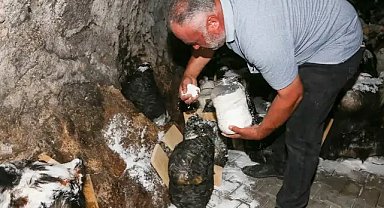 Konya Kızılören’de asırlık tuluk peyniri yolculuğu yeniden başladı
