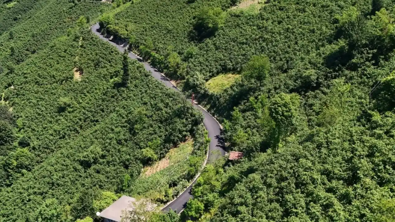 Ordu'da 3,5 kilometrelik asfalt tamamlandı