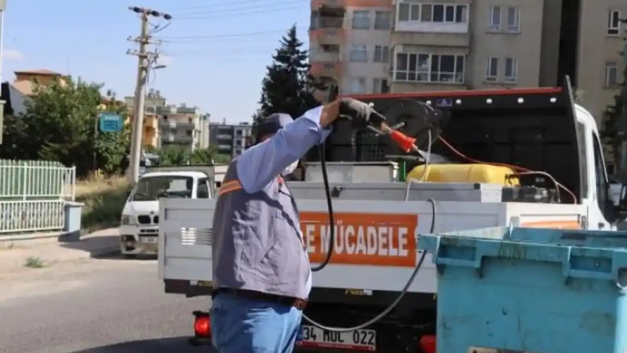 Sivrisinek için seferberlik