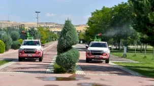 Ankara Büyükşehir'de ilaçlama seferberliği
