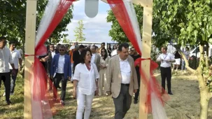 ATA Çiftliği’nde ilk dut toplandı