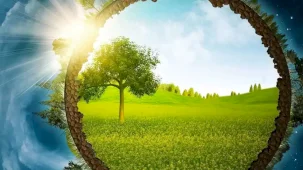 ÇED Yeterlik Belgesi tebliği değişti... Başvuru şartları ve belgeler yeniden düzenlendi