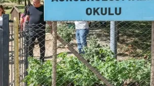 Diyarbakır'da Tıbbi Aromatik Bitki Üretim ve İşleme Tesisi