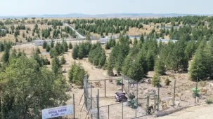 Eskişehir Büyükşehir’den sahipsiz hayvanlara yeni proje