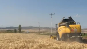 Eskişehir'de 77 tonluk arpa hasadı