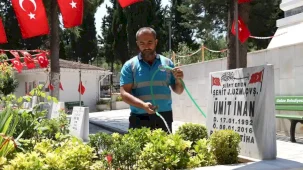 Gebze'de mezarlık ve şehitliklere kapsamlı bakım