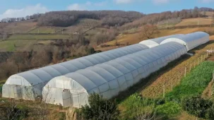 Kocaeli Büyükşehir tarımı geleceğe taşıyor