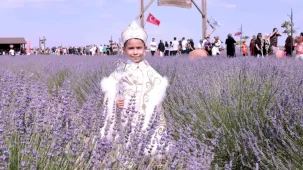 Konya Karatay'da Lavanta Bahçesi'nde festival hazırlığı