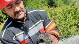 Malatya itfaiyesinden can dosta yardım eli