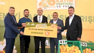 Malatya'da kayısılar yarıştı