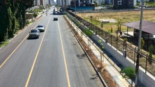 Mersin’de Gazi Paşa Caddesi 420 ağaçla yeşillendi