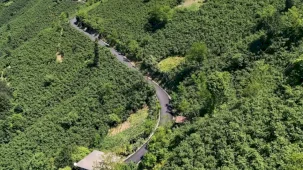 Ordu'da 3,5 kilometrelik asfalt tamamlandı