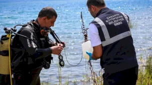Sapanca'daki alg oluşumu mevsimsel