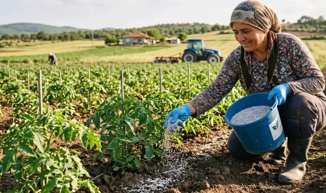 Tarımsal girdi de gübre zam şampiyonu