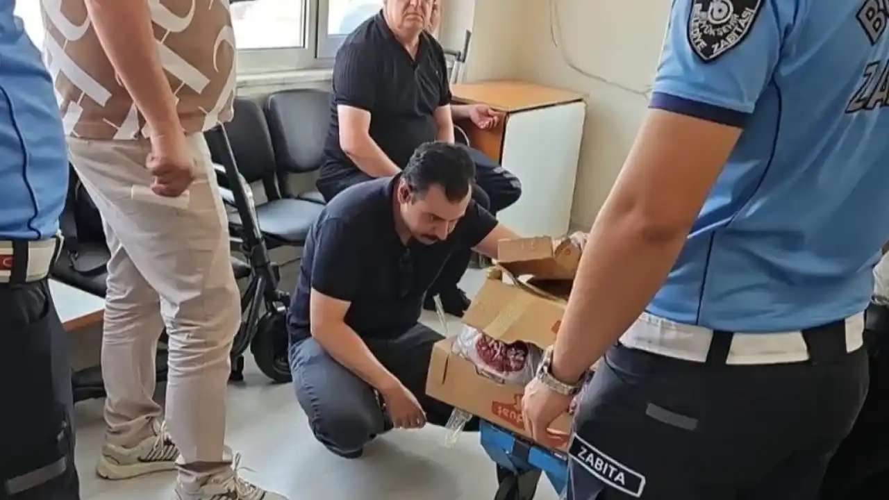Zabıtadan sağlıksız et operasyonu