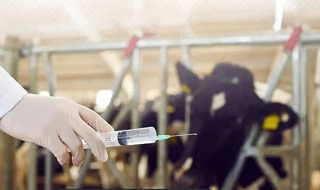 Bakan Yumaklı açıkladı: Çiftçilere 688 Milyon TL'lik tarımsal destek ödemesi