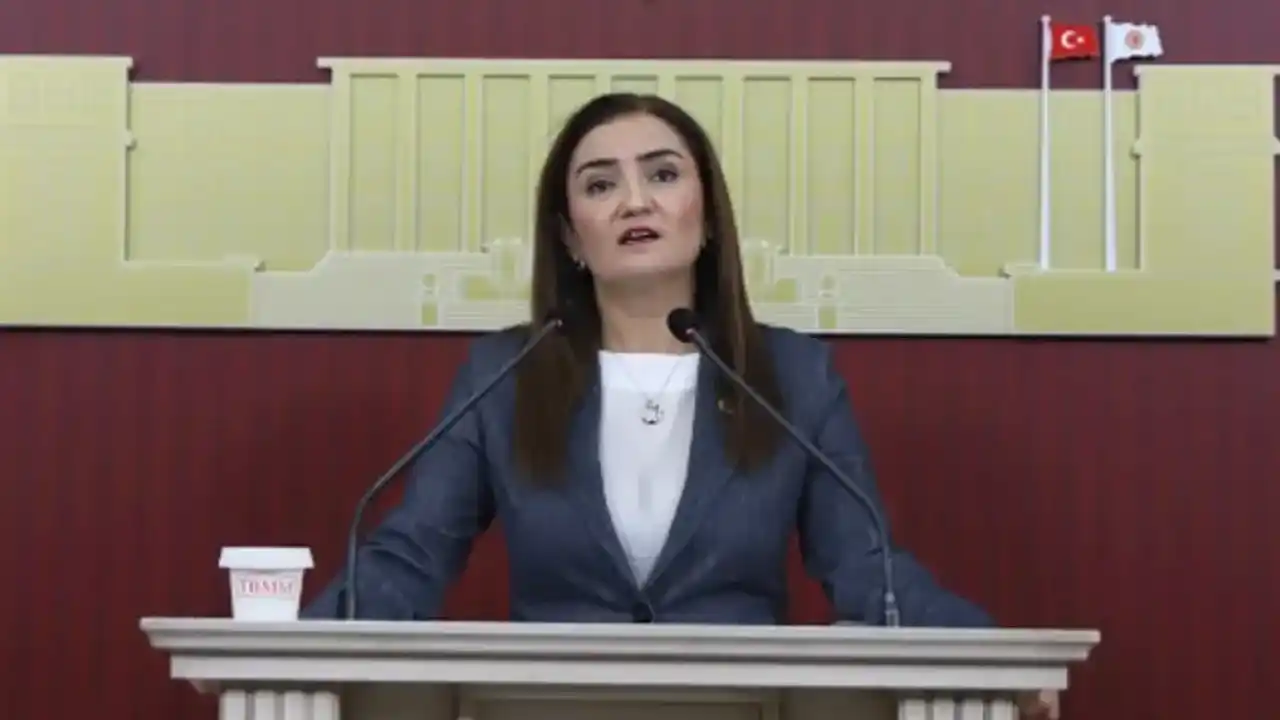 CHP Grup Başkanvekili Kılıç'tan 'silahsızlanma' vurgusu