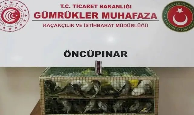 Gümrük Muhafaza'dan kaçakçılığa darbe!