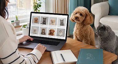 İnternetten Köpek ve Kedi İlanı İncelerken Dikkat Edilmesi Gereken 10 Nokta