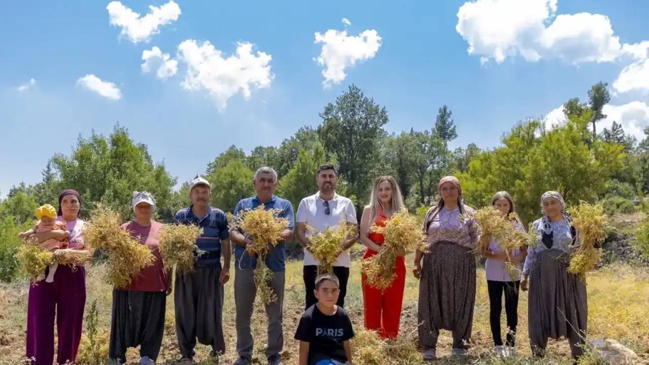 Mersin’de yerel tohumlar geleceğe taşınıyor