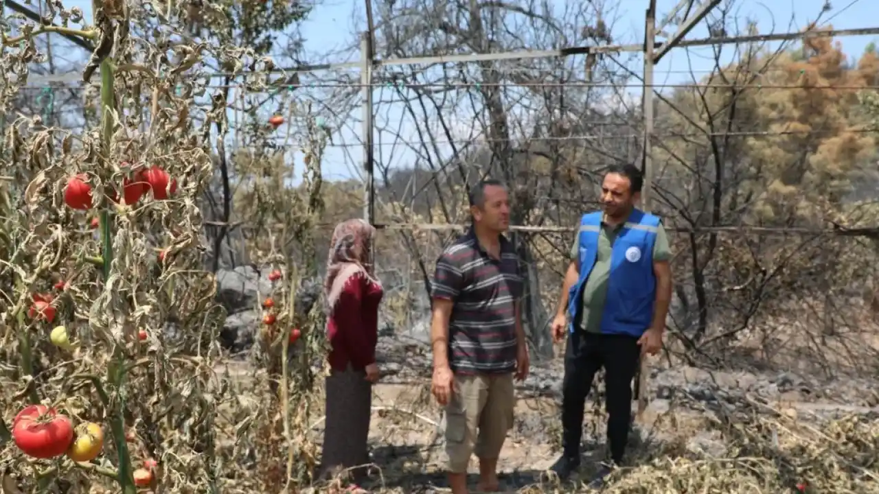 Muğla Seydikemer'de yangın sonrası seferberlik
