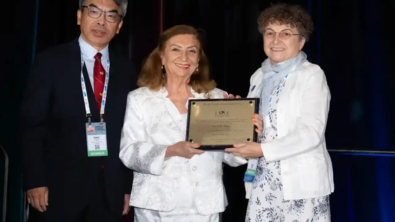 Prof. Dr. Rüveyde Akbay'a 'uluslarası' onur