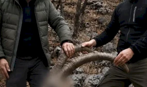 6 yıl önceki kaçak avın failleri tespit edildi! 5 yaban keçisi için ceza uygulandı