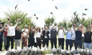 Ankara'da doğaya 600 keklik ve bıldırcın