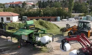 Ankara'da hayvan yetiştiricilerine silaj desteği