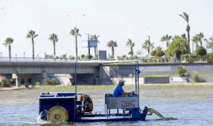 Antalya Boğaçayı’nda doğal yaşam için sucul ot temizliği