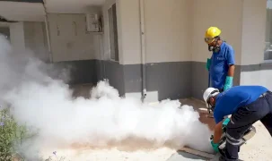 Antalya’da haşere ve sivrisinekle mücadele aralıksız sürüyor
