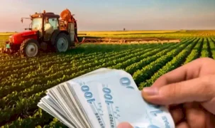 Çiftçilere 195,6 milyon liralık tarımsal destek hesaplarda