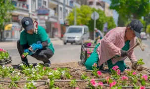 Daha yeşil Milas için yoğun çalışma