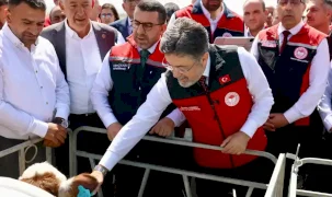 Hayvancılıkta dijital dönem... GEKİS Kars'ta uygulamaya alındı