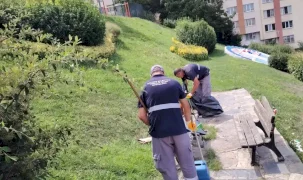 İstanbul Maltepe’de toplu temizlik seferberliği