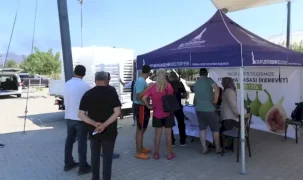 İzmir'de Efes Selçuklu incir üreticisine destek