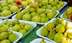 İzmir’in bardacıkları görücüye çıkıyor... En tatlı festival 22-23 Ağustos’ta Payamlı’da