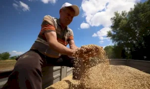 Kocaeli Büyükşehir’den üreticiye 10 milyon TL’lik ek gelir