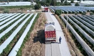 Manisa Sarıgöl’de hasat öncesi yollar yenileniyor