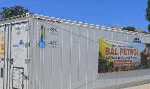 Manisalı arıcıların petekleri büyük balmumu güvesine karşı korunacak