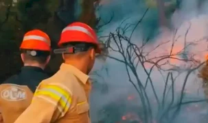 Marmaris Aksaz’daki orman yangını kontrol altına alındı
