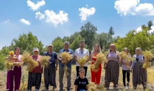 Mersin’de yerel tohumlar geleceğe taşınıyor