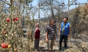 Muğla Seydikemer'de yangın sonrası seferberlik