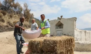 Muğla Seydikemer’de yaralar hızla sarılıyor