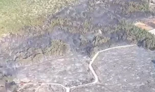Muğla’da başlayıp Antalya’ya sıçrayan orman yangını kontrol altına alındı