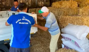 Muğla'da yangın mağduru üreticiye destek