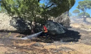 Muğla’da yangınların acı bilançosu! Her 10 yangından 7’si insan kaynaklı